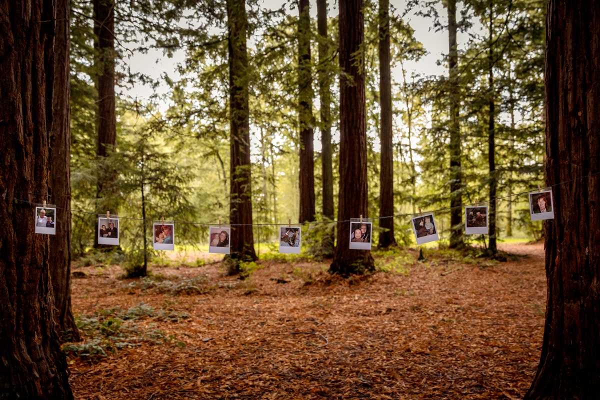 A forest wedding A string of polaroid photographs hung between trees in an ancient forest.