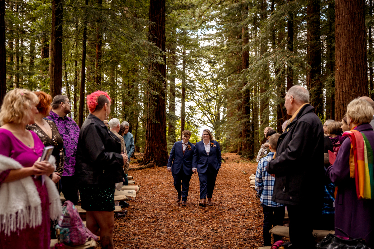 Polyamorous wedding A couple both in navy blue suits are walking down an aisle in a forest. The gathering are turning to greet them. One of the group is wearing a rainbow scarf. Another is dressed in bright pink. The forest is awe inspiring in its height and grandeur