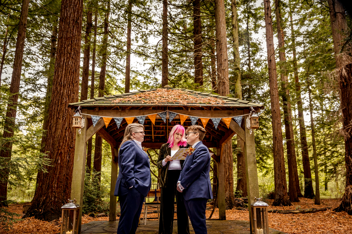 Woodland wedding for polyamorous people A beautiful photo of a forest. The scale of the forest makes the gazebo and the three characters in front of it look dwarfed. They are happy. Two are wearing blue suits. in the middle and woman with pink hair is reading out from a folder.