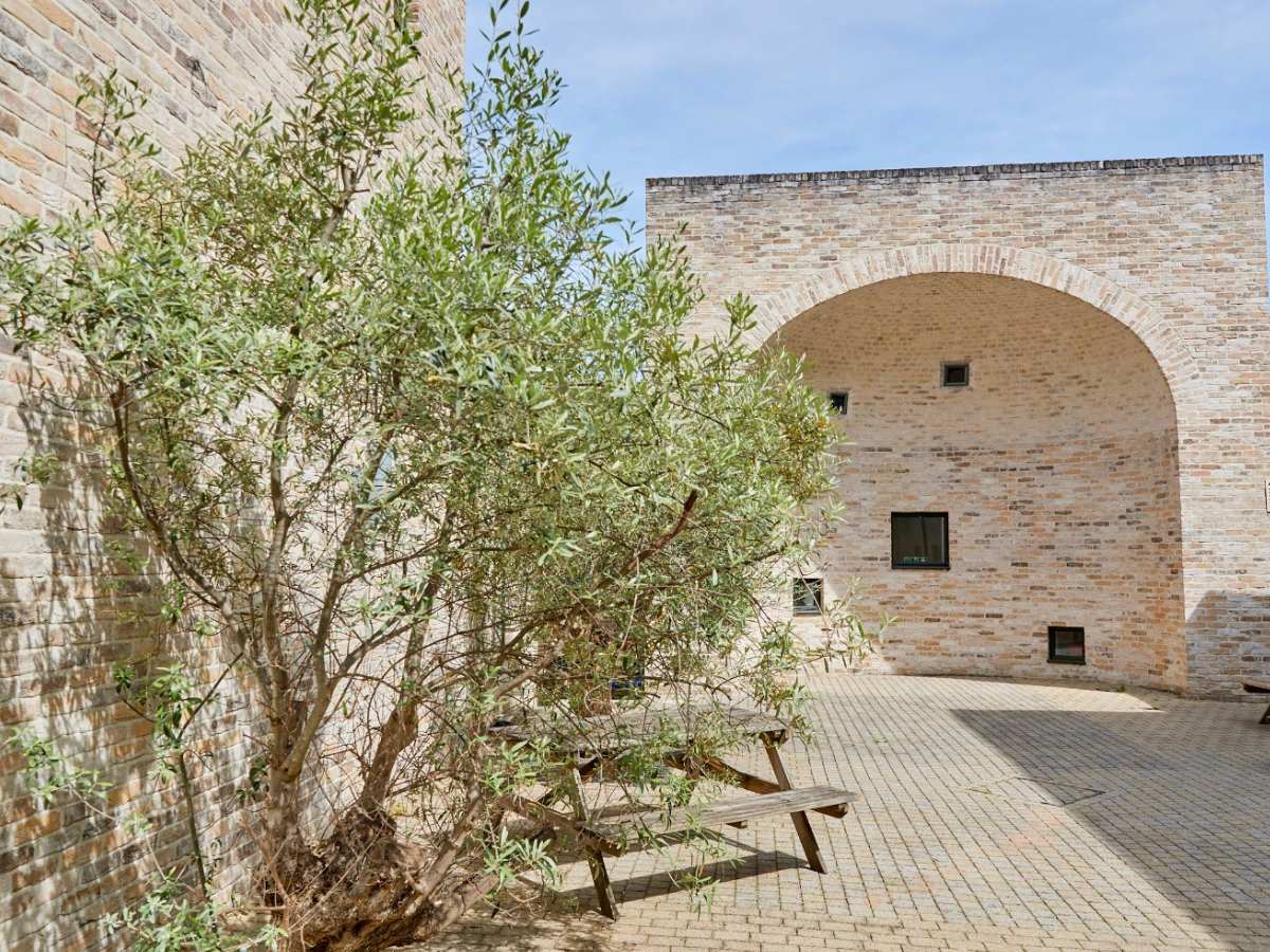 A beautiful courtyard with a tree